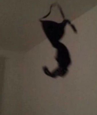 ✘ —𝖓𝔞𝔱𝔞𝔰𝔥𝔞 tweet media