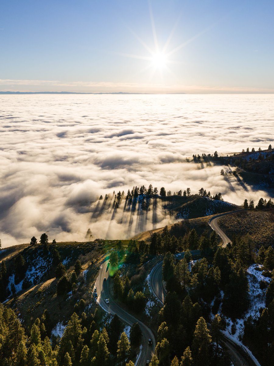 Visit Boise tweet media