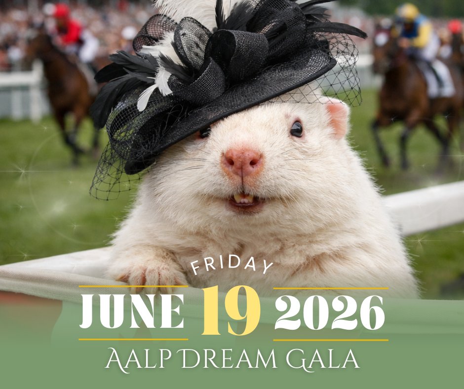 No matter what Willie said this morning, there are only 19 more weeks until "A Night at The Races" at the AALP Dream Auction! 🎫Get your tickets today at aalpdreamauction.com. 🐦 Take advantage of Early Bird pricing when you buy your tickets before April 20th.