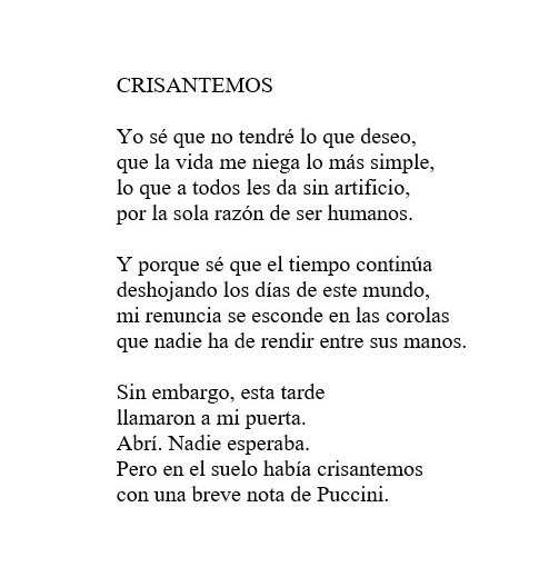 De PASEO DE LOS MAGNOLIOS (1995)    
#Poesía #MisVersos #SiempreLaPoesía
