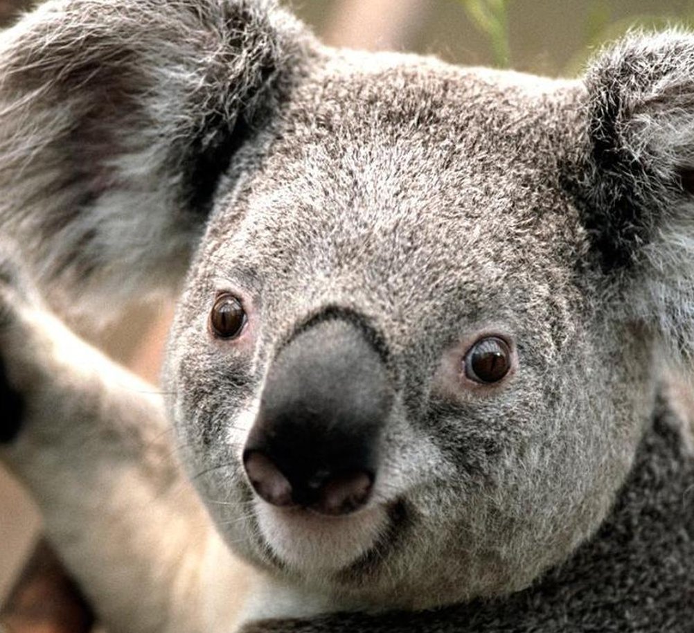 mouseCapone's tweet image. ちょっと怒りよ 🤥