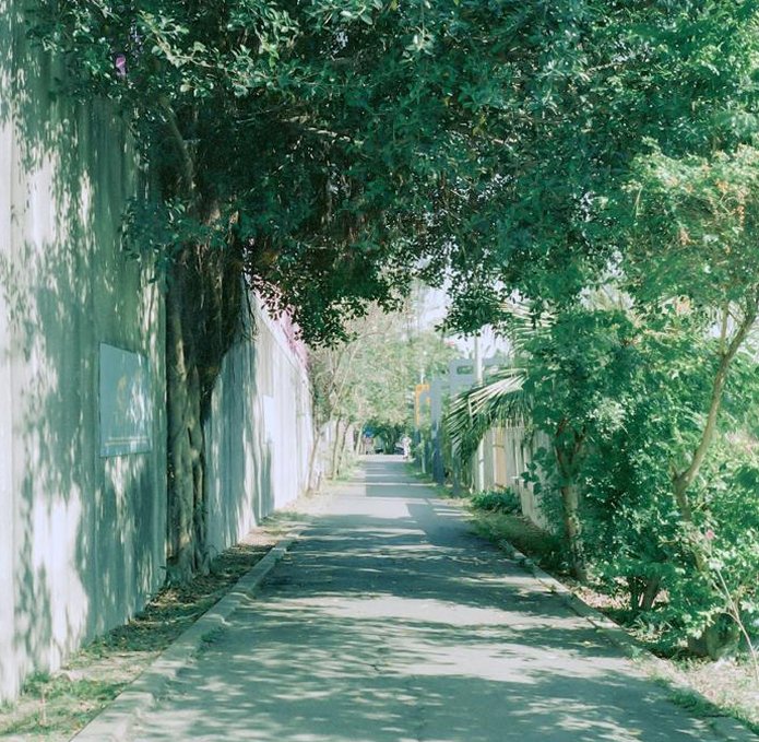 Rachelbl11's tweet image. パソコンが硬い 🧕