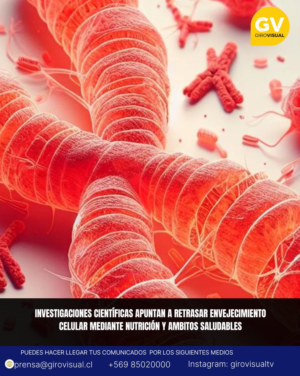 Girovisual Televisión tweet media