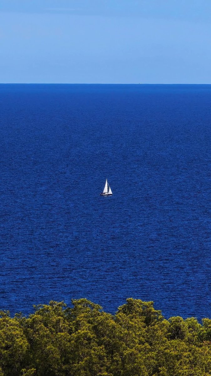 (친절한)돌솥비빔밥🥽 tweet media