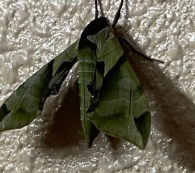 deretk's tweet image. 超古い 👏