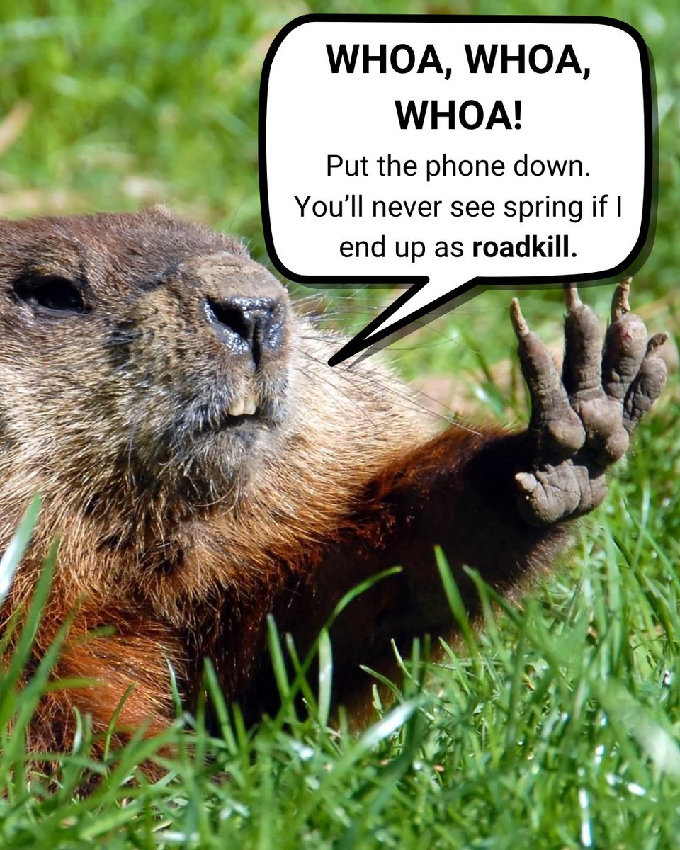 Distracted driving isn’t just risky — it can be deadly. Stay focused. 📲🚫