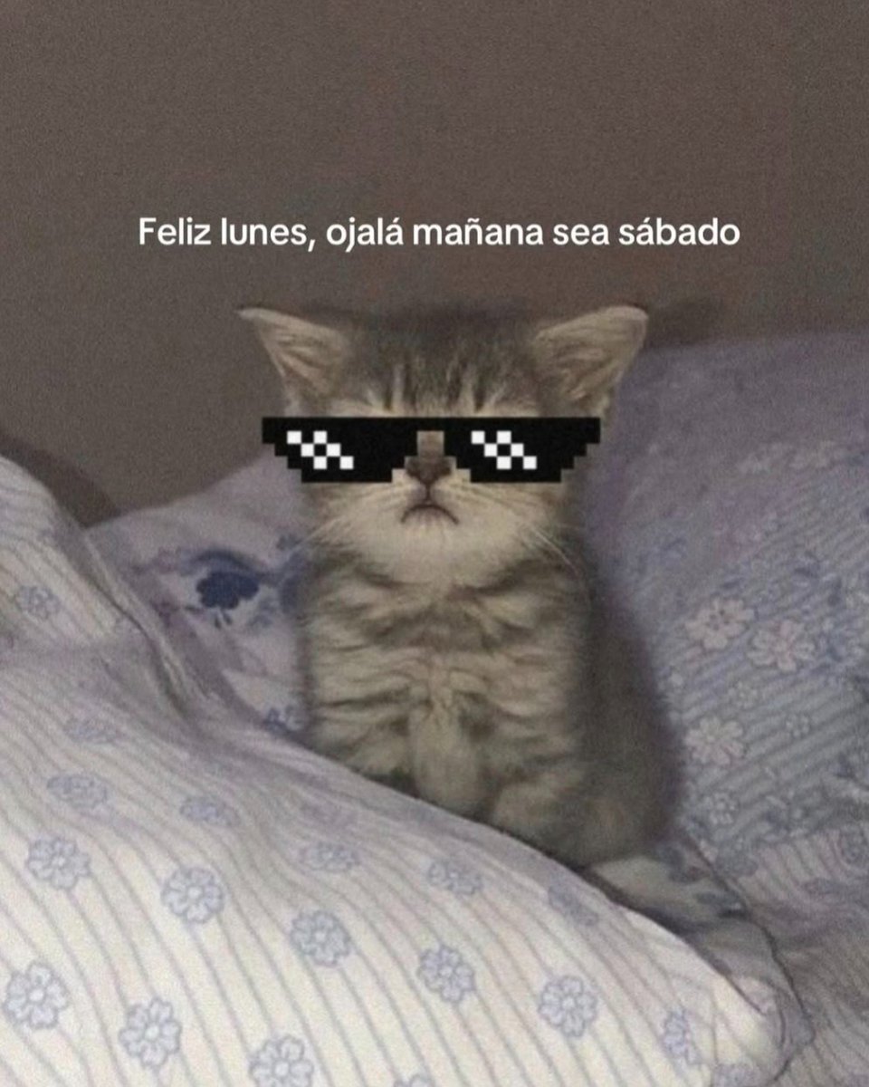 En Júpiter (@en_jupiter_) on Twitter photo 