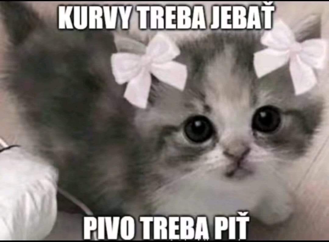 Kamar_PL's tweet photo. @swaggedoutjesus @h3ll0_666 https://t.co/aOOyO2BV8u