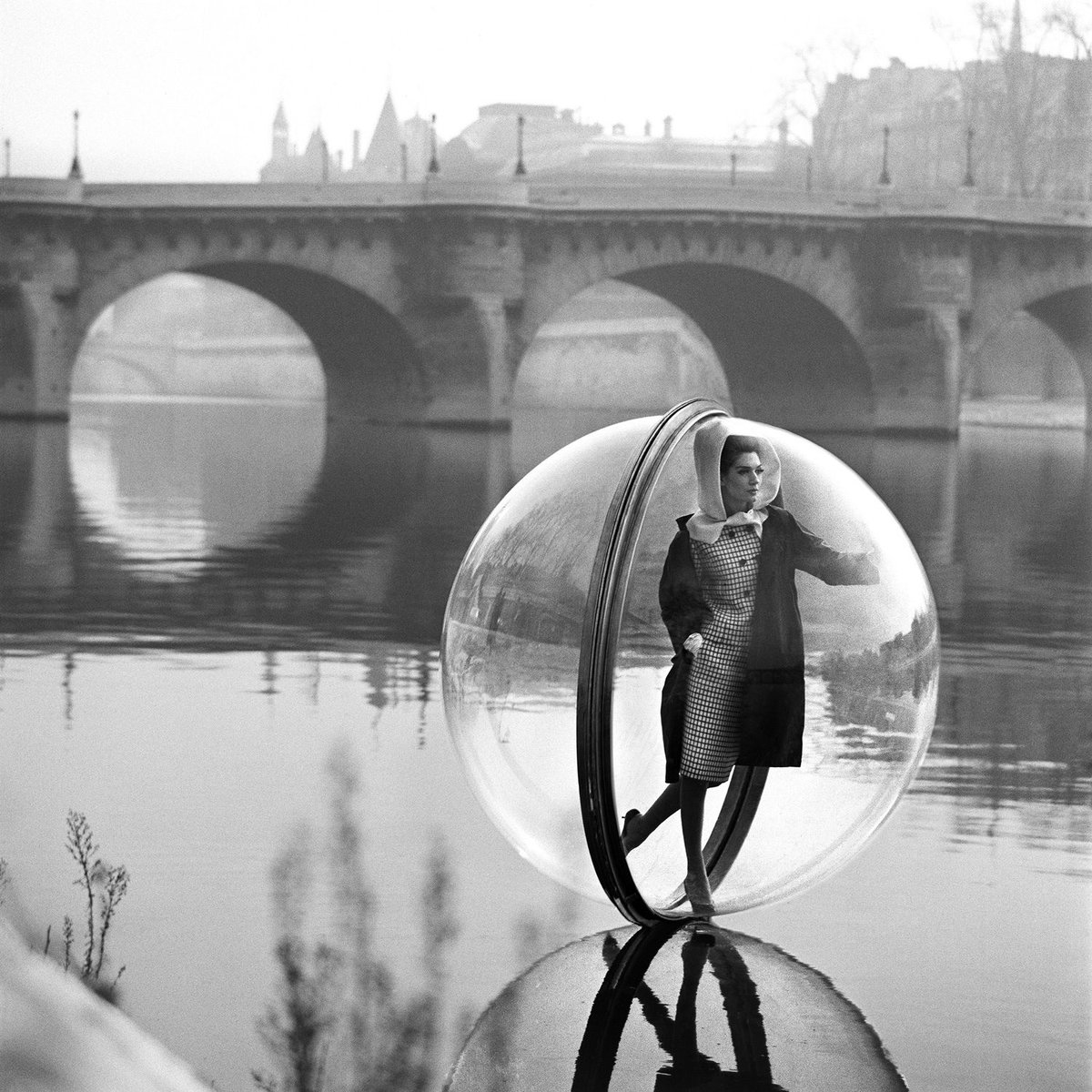 AlvisCrown's tweet photo. Contained bodies.
#MelvinSokolsky https://t.co/zD2ME51fUg