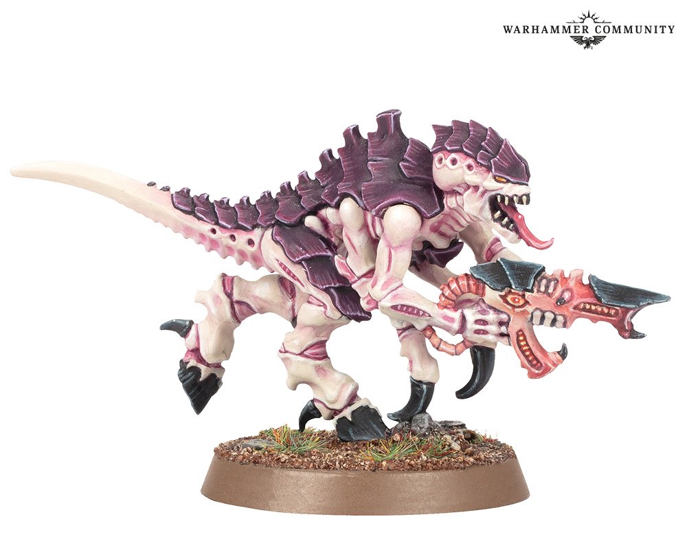 Kya, the God Empress of Mankind tweet media