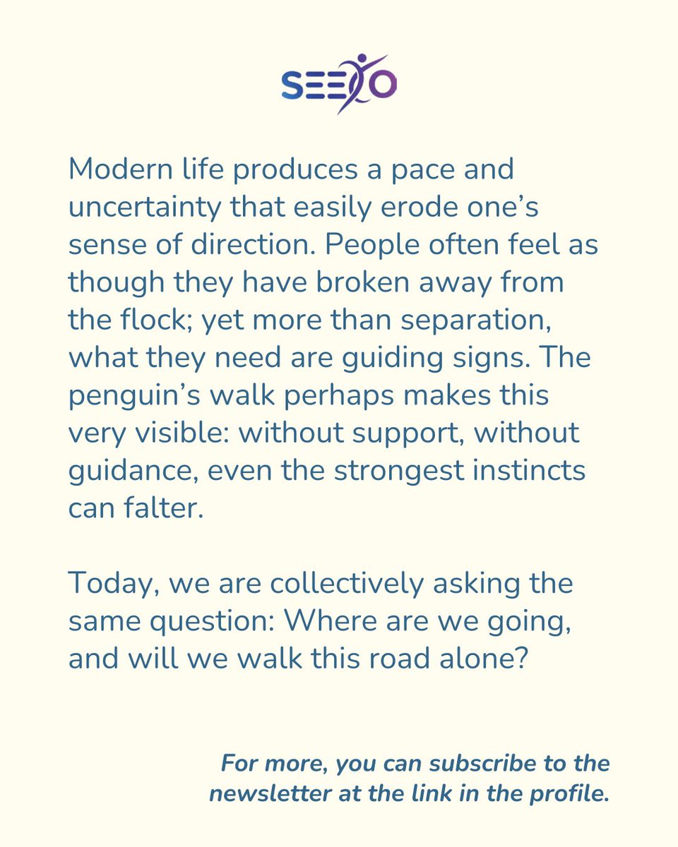 seecoproject's tweet photo. #January was a month of rethinking our sense of direction.

At SEECO this month, with initiatives growing stronger, and fresh collaborations taking shape, we once again saw that no one has to walk the path alone: https://t.co/UzVN66F5Yc https://t.co/FLfNuIz8ZK