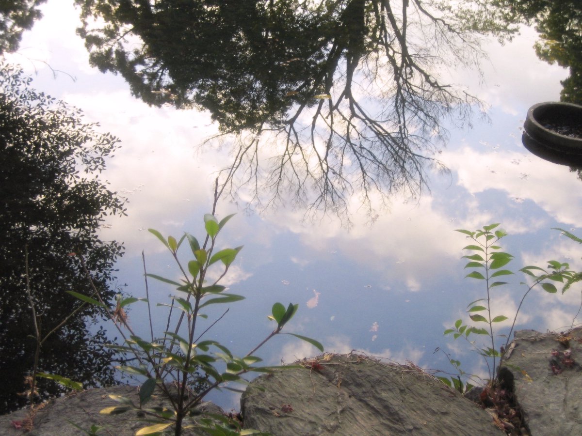 ___juice21's tweet image. 