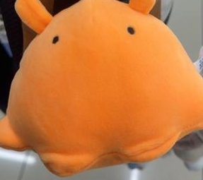 dshultz10's tweet image. 毎日カラオケを勉強する 🌼