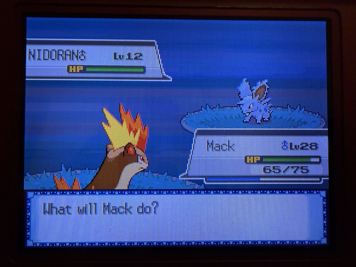 CoffeeAndKilos37 tweet media