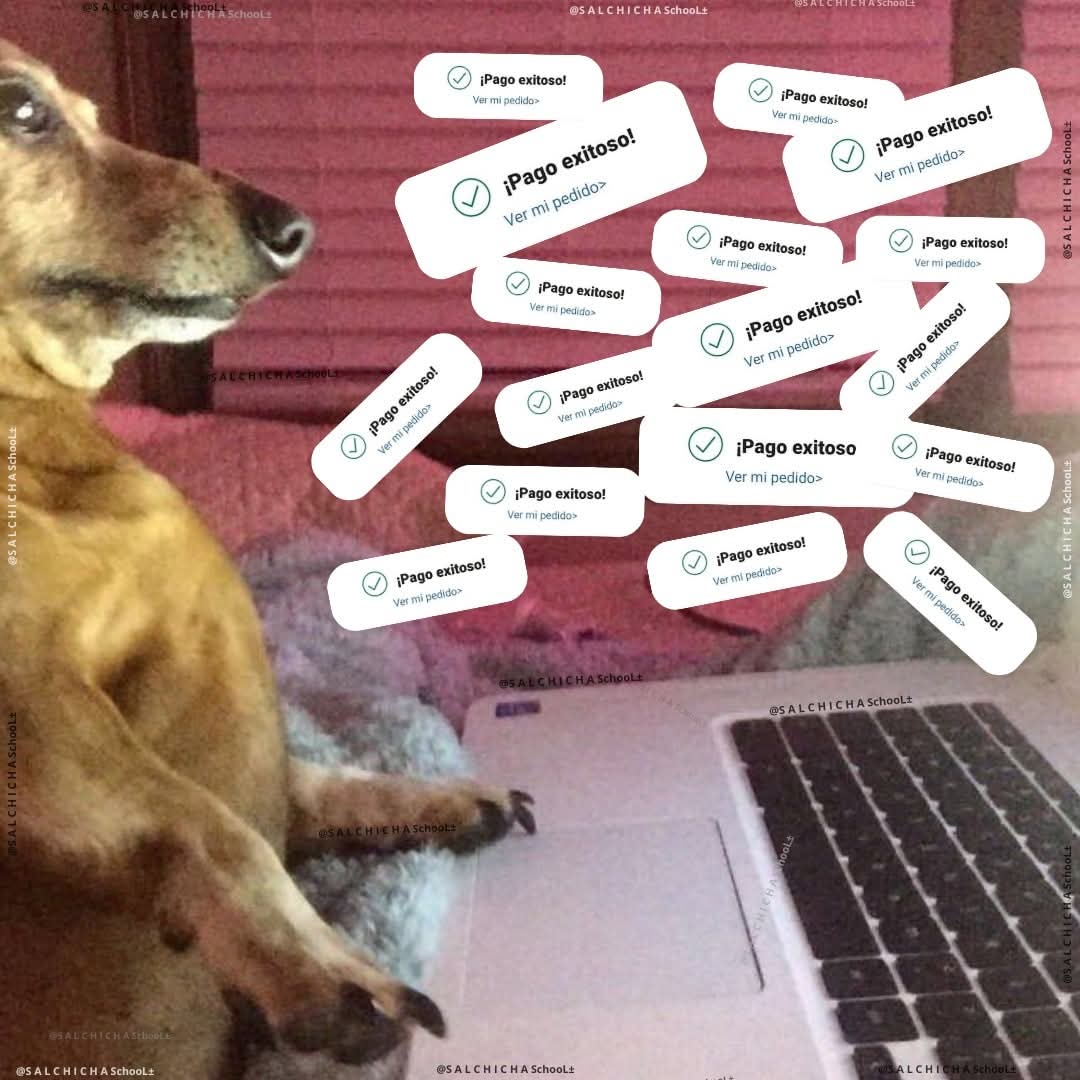 Animalesaprieto's tweet image. *No saldré para no gastar*

- Yo desde mi casa: