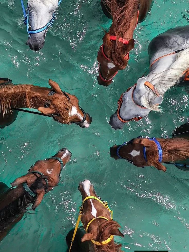 Earth Pictures 🌎🌎🌎 (@__earthpicture) on Twitter photo 