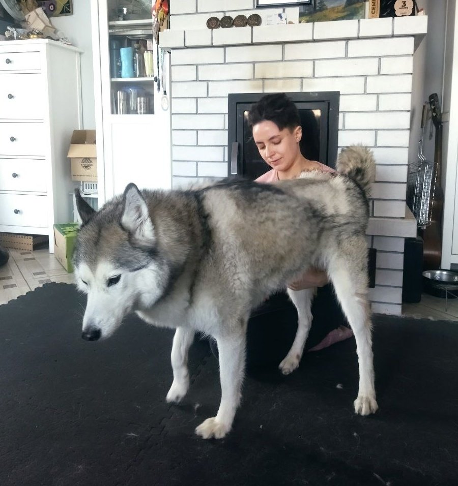 Верилий tweet media