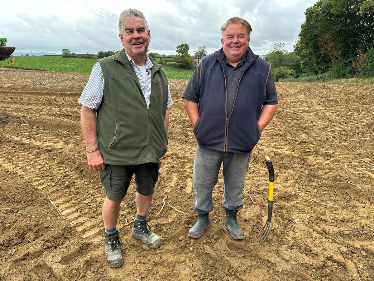 Emerald Research tweet media