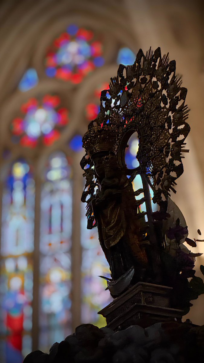 “Aquí tienes a tu fiel Palencia…” 💜