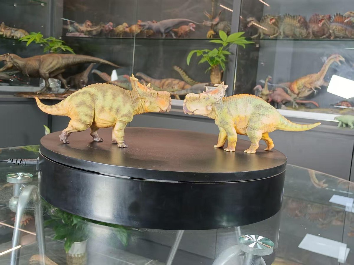 ##Haolonggood | #Pachyrhinosaurus ya disponible.