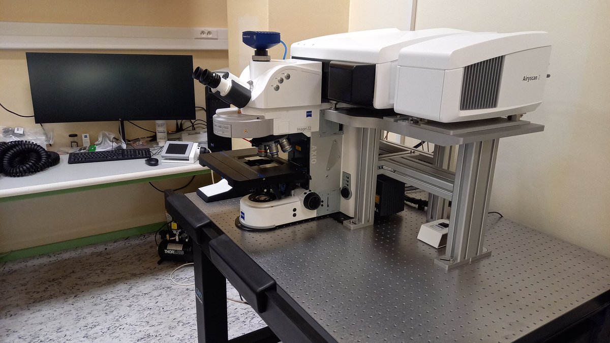 Samaj Lab tweet media