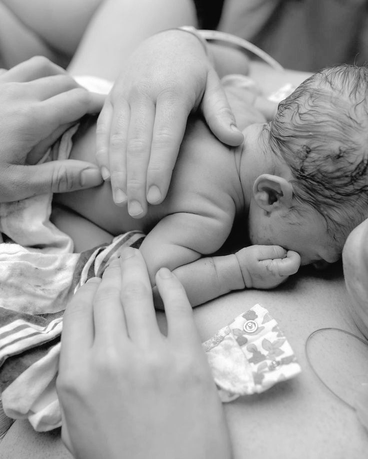 Miwu 🐰 ●Rest● tweet media