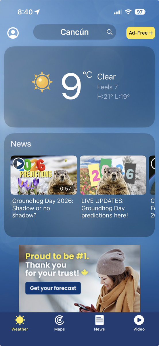 Teresa Spinelli tweet media