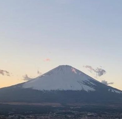 BrettCompLaw's tweet image. なるほど！ 🤢