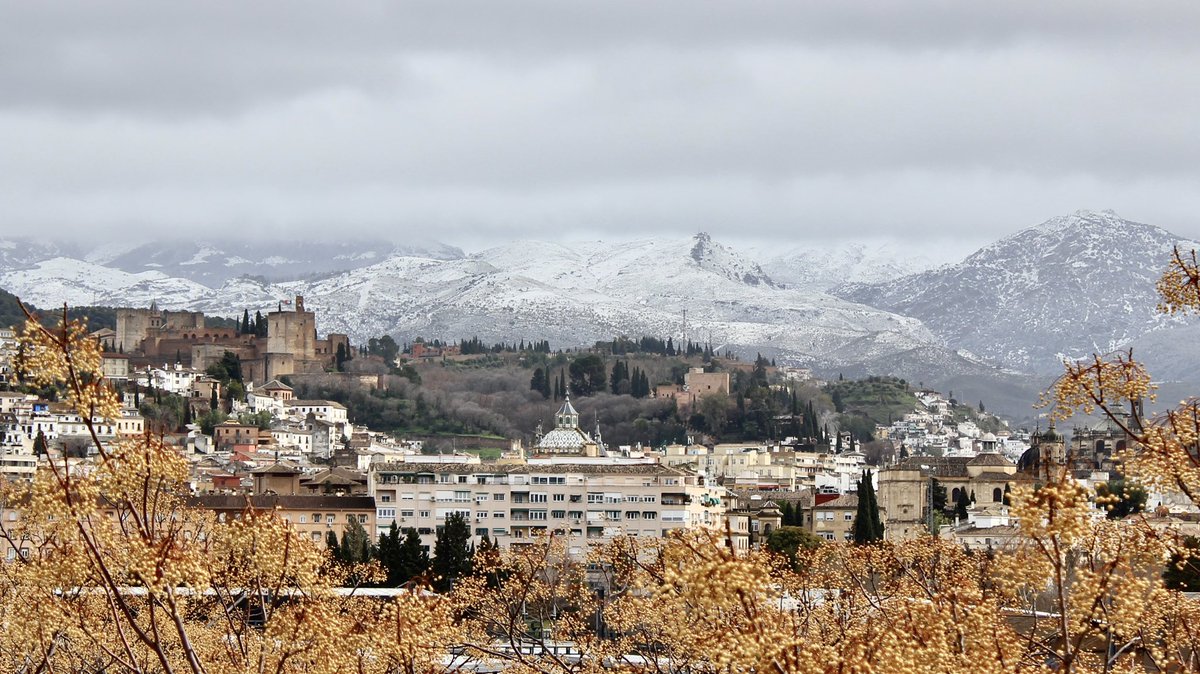 Samuel_MR17's tweet photo. De sorpresa nos ha pillado a muchos esta nevada. Todas las sierras de #Granada están bien blancas desde los 1.000 metros https://t.co/L7O4dmNCRh