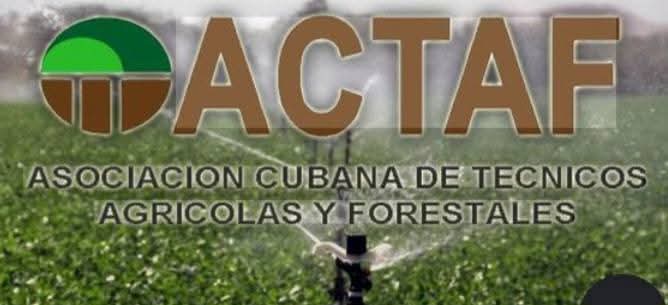 El campesinado Cubano felicita a la ACTAF 《   39 años de creada
 Asociación Cubana de Técnicos Agrícolas y Forestales (ACTAF) cumple 39 años de creada. Un año importante en el centenario de nuestro querido Comandante en Jefe Fidel. 
Muchas felicidades.
#ANAPCuba