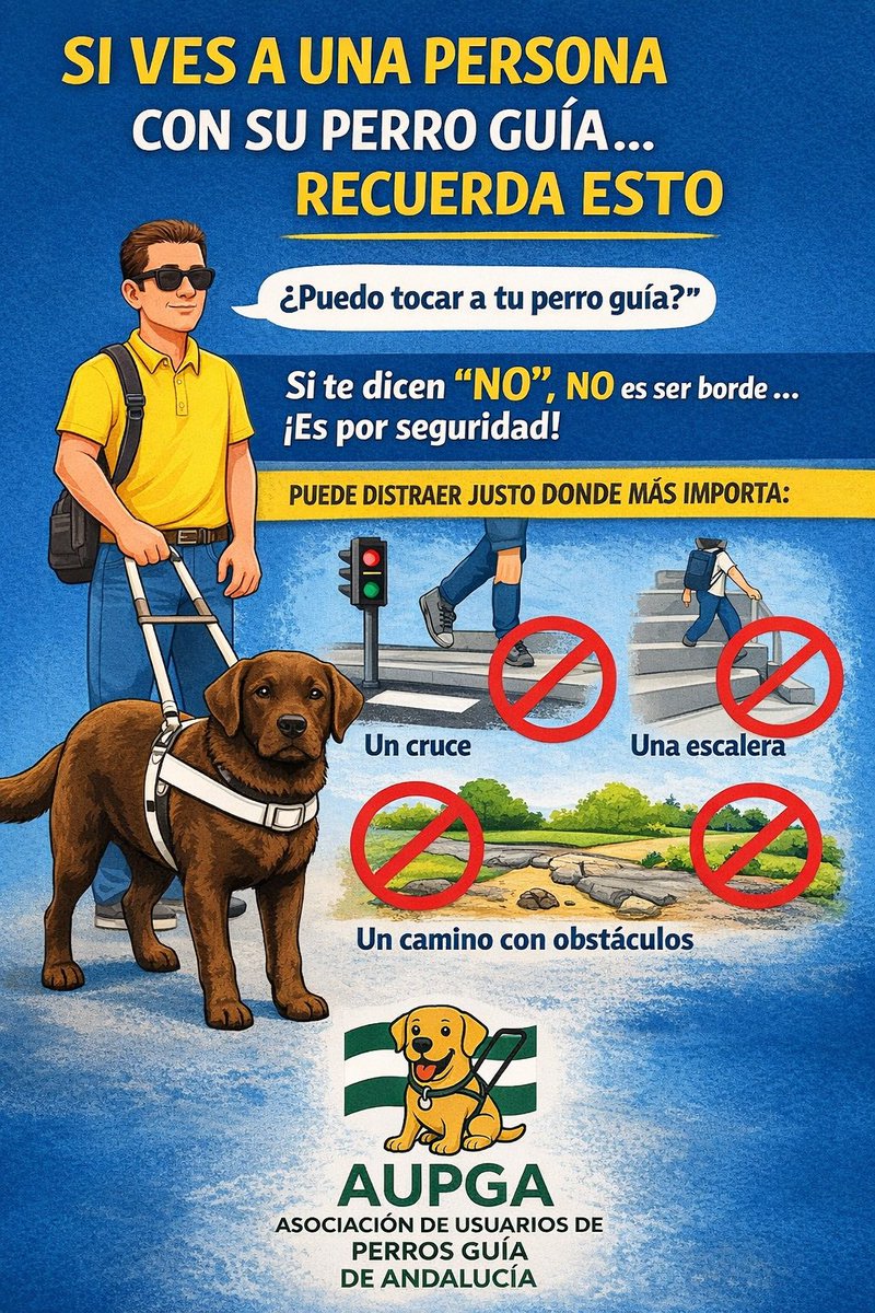 Asociación usuarios perros guía de Andalucía tweet media