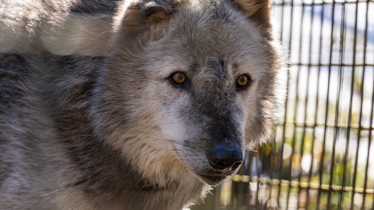 ストあき tweet media