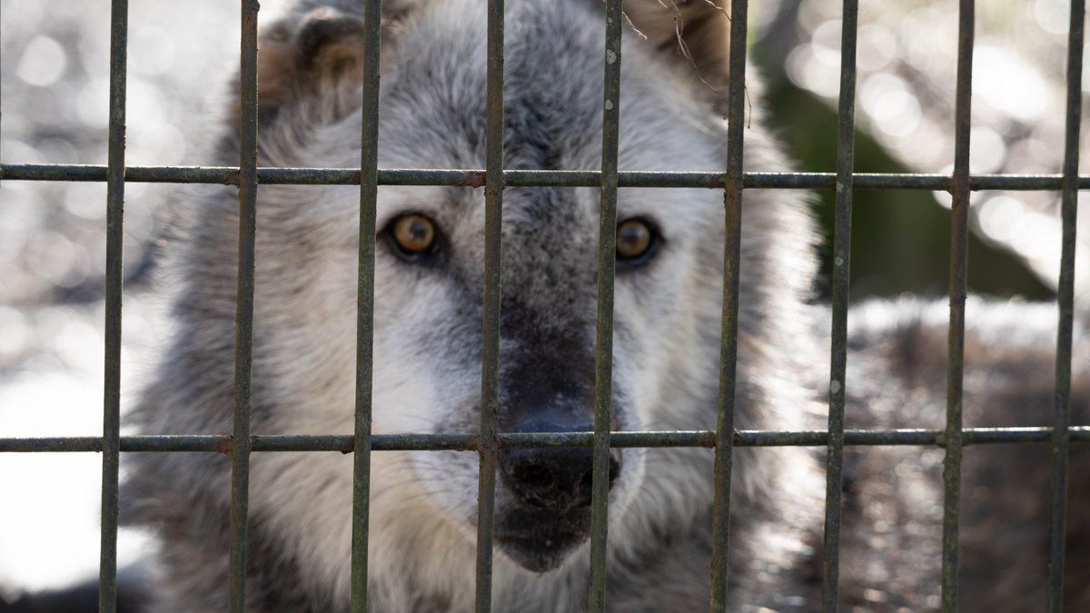 ストあき tweet media