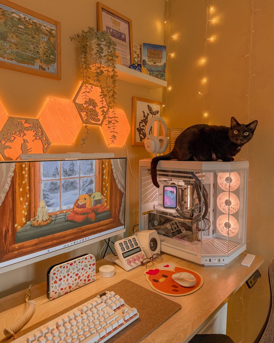 Kiwi🥝 tweet media