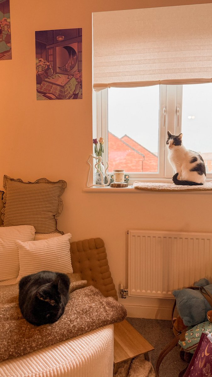 Kiwi🥝 tweet media