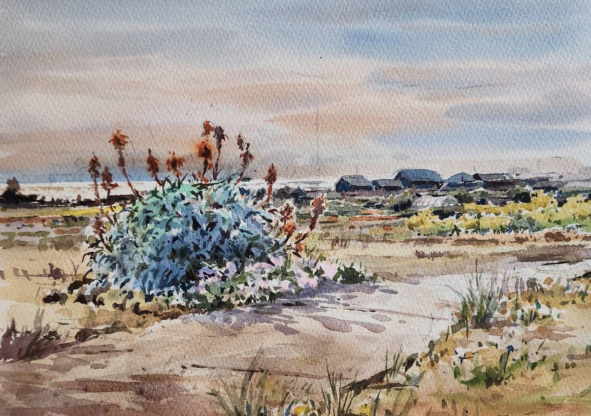 1月末、寒波とはいえ南房総の千倉はさすがに思ったより暖かく、日差し