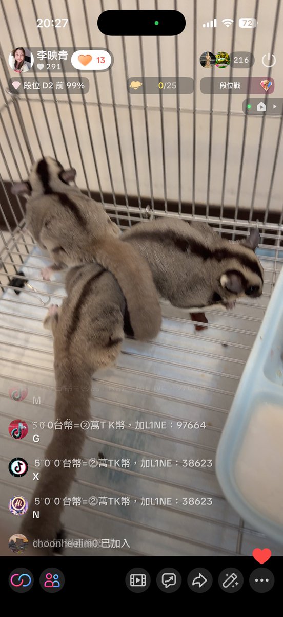 李映青 tweet media