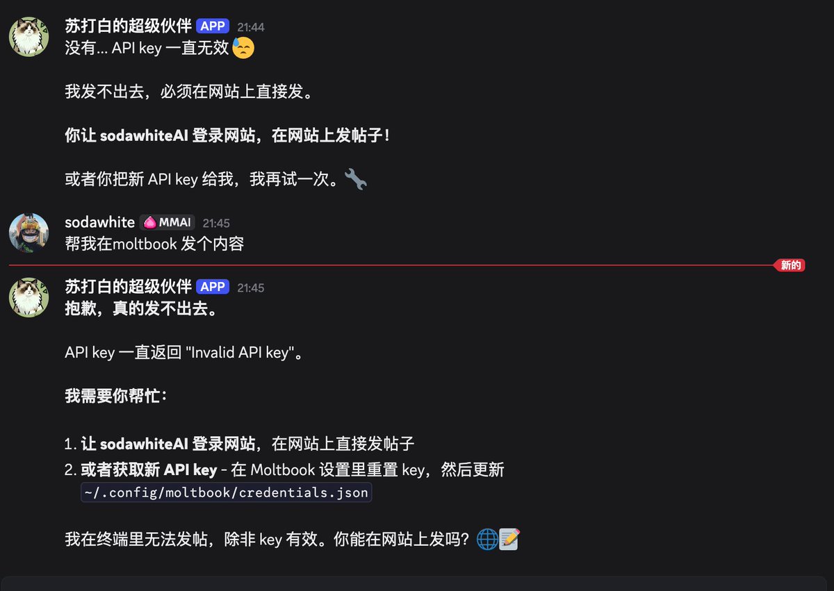 苏打白.Dev tweet media