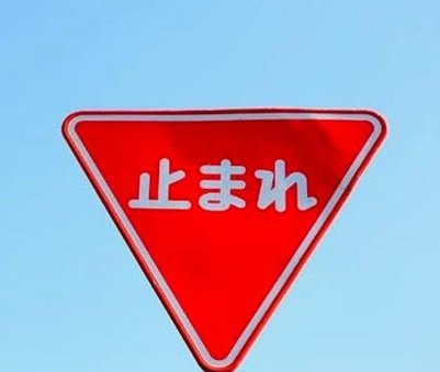 iamalkandr's tweet image. いい体 🐤