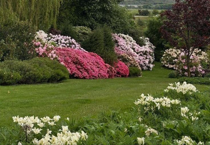 naturaholic's tweet image. gardens surrounded by flowers