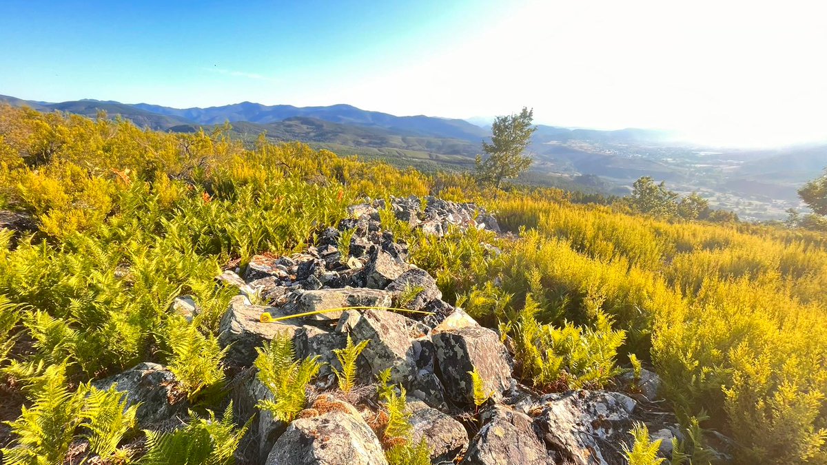 ReddeCastros's tweet image. Proyecto de Investigación Arqueológica del occidente Berciano,
evolución del área de los Ancares desde la prehistoria a la Edad Media 

Proyecto de Intervención Arqueológica en el Castro de Peña Piñera (Sésamo, Vega de Espinareda, León)

sociedadibericadearqueologia.com/proyecto-de-in…

@ReddeCastros