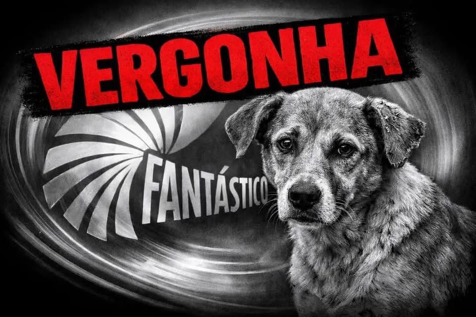 Quem assistiu ontem, à matéria exibida no #Fantástico deve ter saído, no mínimo, assustado com a forma superficial e irresponsável com que o caso do cãozinho Orelha foi tratado. A narrativa apresentada beira o absurdo, como se o animal tivesse “se suicidado”, apagando