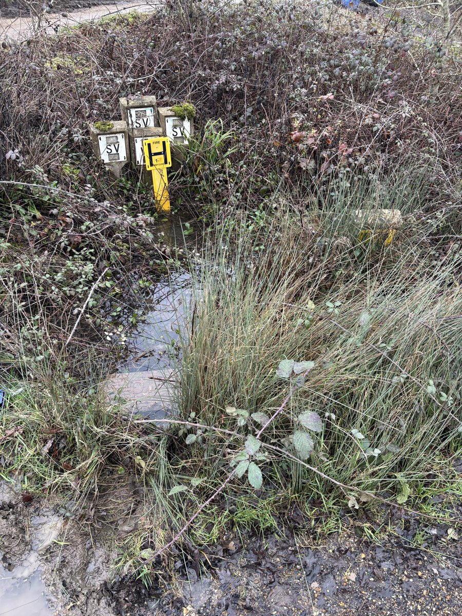 C_McNeilage's tweet photo. @sewateruk Thank you for the update (I think I may have seen someone here just now and one of the covers is now painted blue). I’d have thought the reason the asset was underwater is because of the leak though? https://t.co/6mMIIDFBQR