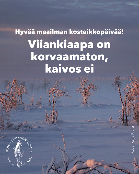 MAAILMAN KOSTEIKKOPÄIVÄ on hyvä muistutus niiden suojelun tarpeesta. Maamme uhatuin kosteikko on Viiankiaapa - vaikka se on sekä 🇫🇮 että 🇪🇺 suojelema!