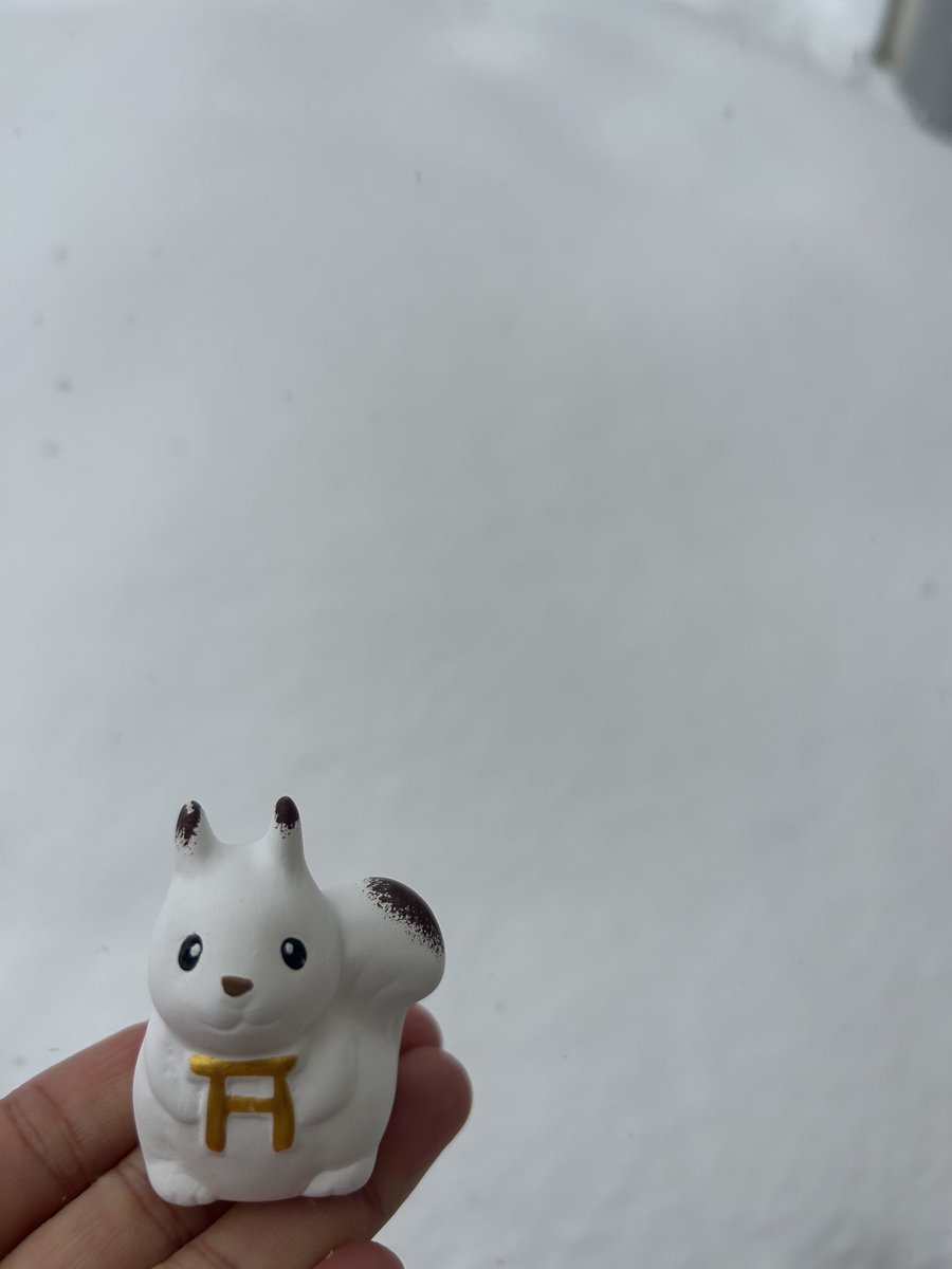 Baruchogata's tweet photo. 神社巡り 旭川から札幌編
札幌の雪はすごかった。
北海道神宮でエゾリスみくじ、シークレットだった🐿️縁起よさそう✨
旭川でもエゾみくじゲット
#北海道神宮
#旭川神社
#えぞみくじ
#Kitaca https://t.co/69oEBdO9Fv