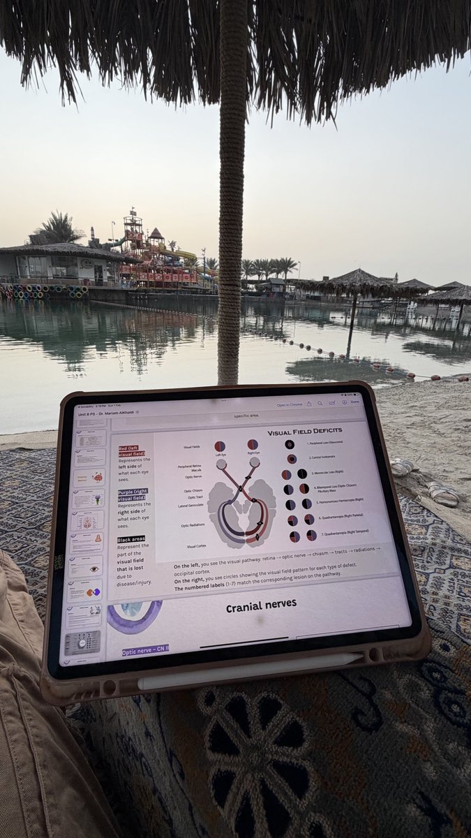 مذاكرة اوسكي بكرا برفقة الطاوؤس