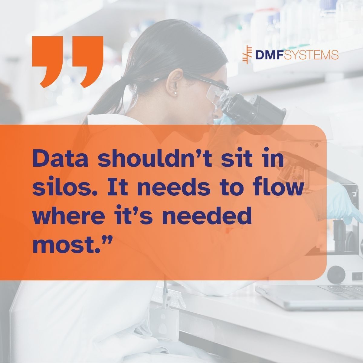 DMF Systems tweet media