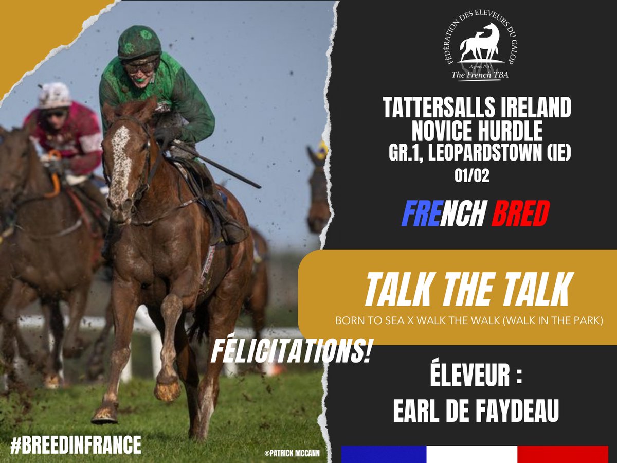 Fedeeleveurs's tweet photo. 📷TALK THE TALK, fils de #BornToSea (stationné au Haras des Faunes), élevé par EARL DE FAYDEAU, a remporté le Tattersalls Ireland Novice Hurdle, Gr.1, à Leopardstown Racecourse (01/02) ! 📷
Félicitations à tout son entourage !
#vivelelevagefrancais #RaceAndCare #BreedInFrance https://t.co/jcnk2yqKJJ