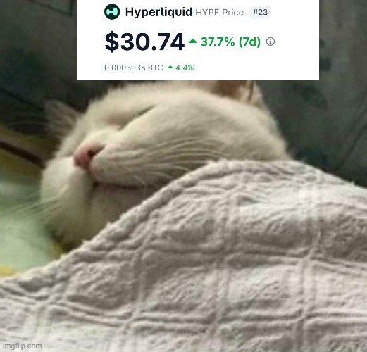 DegenApe99's tweet photo. $HYPE holders right now https://t.co/q9MRsAROUU