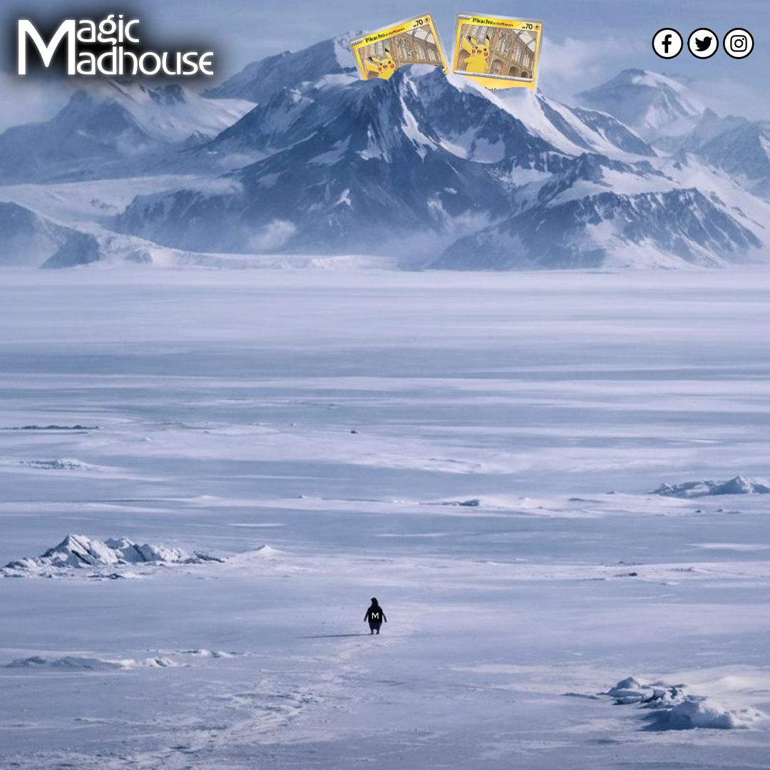 Magic Madhouse tweet media